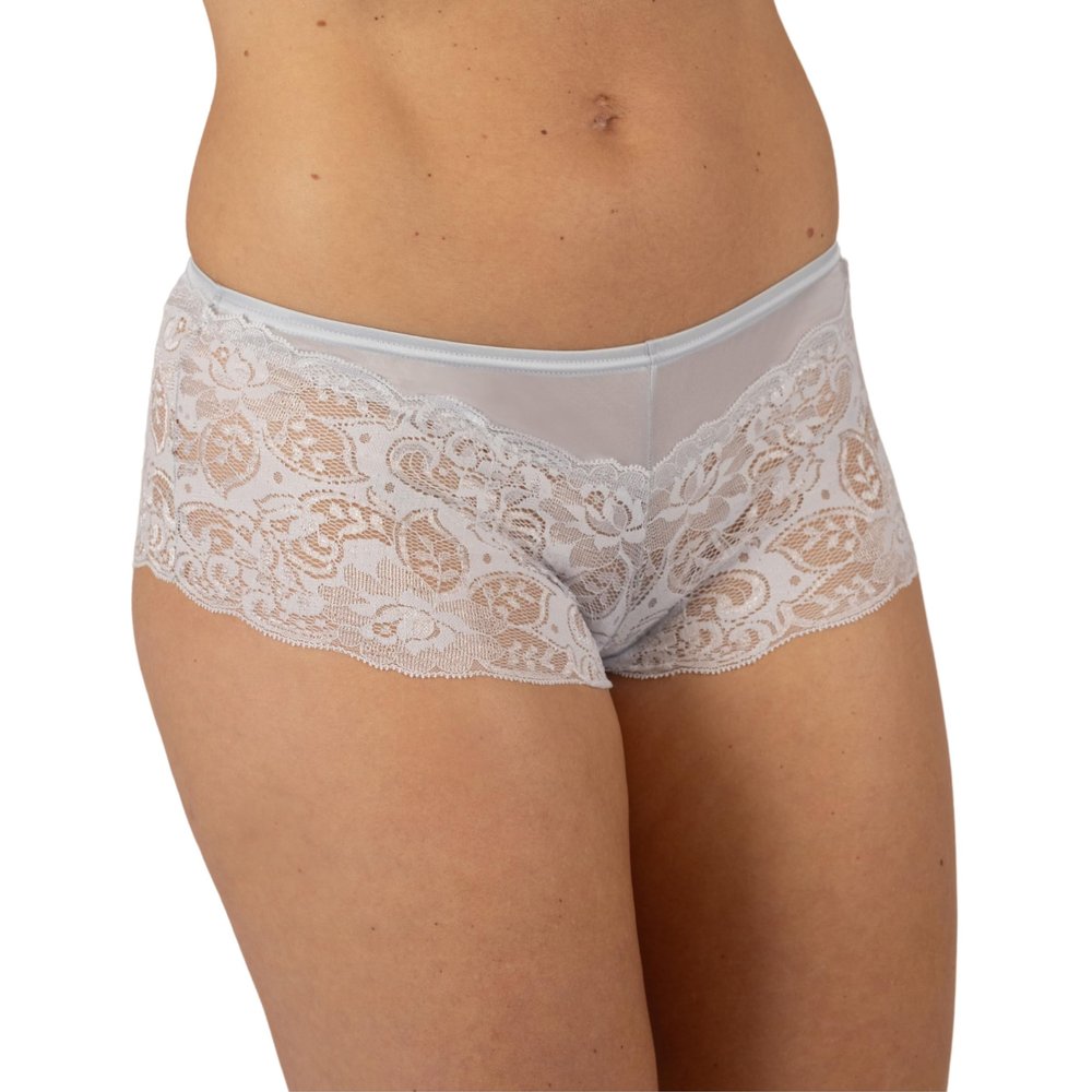 Women's Shadowline Silhouette Lace Cheeky Panty-Silver-7/L