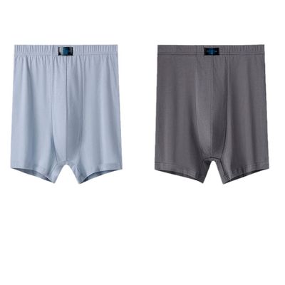2 Pieces Men Underwear Briefs Male Boxer Solid Panties Shorts Men's Cotton Underpants Breathable Man Boxers