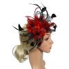 YOLAI Fascinators Hats for Women Tea Party Hat Ribbons Feathers Hat Cocktail Headpiece Hair Clip (Red, One Size) view 4