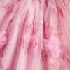 BULINGNA Toddler Baby Girl Princess Dress 3D Floral Embroidery Tulle Tutu Dress Sleeveless Strap Fairy Dress Summer Outfit (Pink, 3-4 Years) view 4