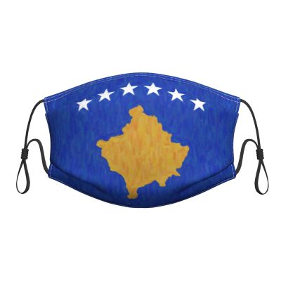 QFZ Flag of Kosovo Oil Painted Durable Masks for Work Play