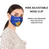 QFZ Flag of Kosovo Oil Painted Durable Masks for Work Play view 3