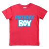 Birthday boy Shirt Boys Outfit Toddler Baby tee 1st 2nd 3 Year Old 4th Kids 5th 6th 7th (US, Age, 4 Years, Red) view 1
