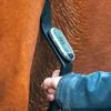 HORSEPAL Horse Heart Rate Monitor Full HR Training Kit view 3