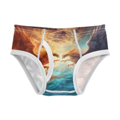 ALAZA Phoenix Abstract Boys' Briefs Soft Underwear Available in Sizes 2t Multicolor