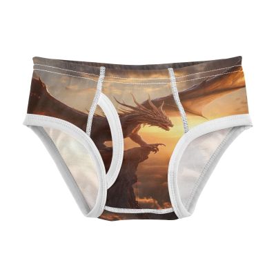 ALAZA Sunset Dragon Boys' Briefs Soft Underwear Available in Sizes 2t Multicolor