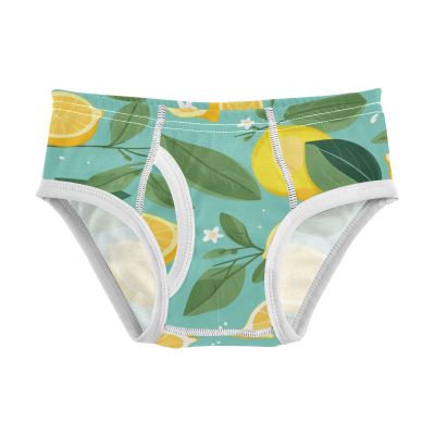 ALAZA Lemon Flower Leaves Blue Boys' Briefs Soft Underwear Available in Sizes 6y