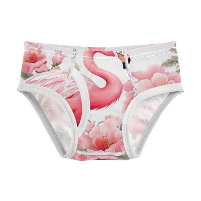 ALAZA Flamingo Flower Boys' Briefs Soft Underwear Available in Sizes 5t Multicolor