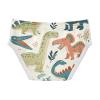 ALAZA Funny Dinosaur Leaves Cartoon Boys' Briefs Soft Underwear Available in Sizes 4t Multicolor view 2