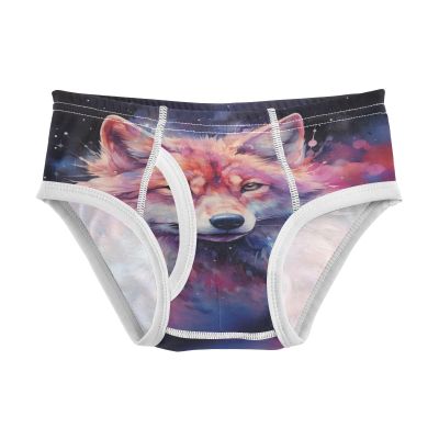 ALAZA Oil Painting Galaxy Wolf Boys' Briefs Soft Underwear Available in Sizes 6y Multicolor
