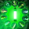 Pinboer Fishing Light Underwater 12V 100W 12000LM Green White Led Submersible Night Ice Squid Crappie Waterproof IP68 Bait Dock Attractants in Freshwater and Saltwater with 17FT view 4