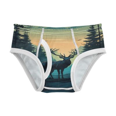 ALAZA Deer Mountain Landscape Retro Boys' Briefs Soft Underwear Available in Sizes 6y Multicolor