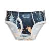 ALAZA Fox Starry Night Mountain Boys' Briefs Soft Underwear Available in Sizes 8y Multicolor view 1