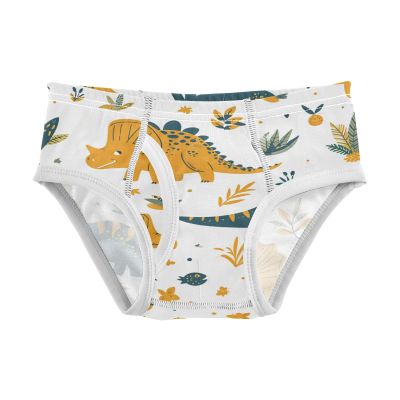 ALAZA Funny Cartoon Dinosaur Boys' Briefs Soft Underwear Available in Sizes 4t Multicolor