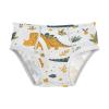 ALAZA Funny Cartoon Dinosaur Boys' Briefs Soft Underwear Available in Sizes 4t Multicolor view 1