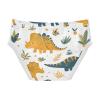 ALAZA Funny Cartoon Dinosaur Boys' Briefs Soft Underwear Available in Sizes 4t Multicolor view 3