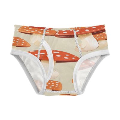 ALAZA Orange Mushroom Boys' Briefs Soft Underwear Available in Sizes 4t