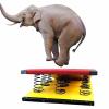 ERoomQ Heavy Duty Gymnastics Springboard, 9 Springs Vault Equipment, Hard Wood Adult Spring Boards Sturdy & No Deformation, Load 110kg / 242Ibs view 1