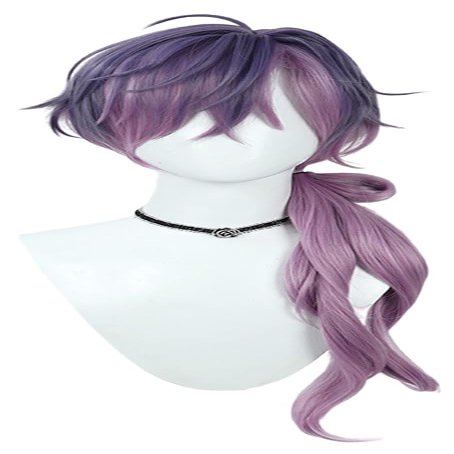 TTYAO REII Anime Cosplay Wig Men Purple Gradient Long Braided Hair Synthetic Fiber Wig for Role Playing