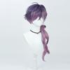TTYAO REII Anime Cosplay Wig Men Purple Gradient Long Braided Hair Synthetic Fiber Wig for Role Playing view 4