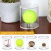 Baseball Display Case Cylinder,Larger Acrylic Display Case 3.5" Dia with Interior Replaceable Baseball Ring Holder & 2 Size-Varied Coin Holders (Round 4 Pack) view 2