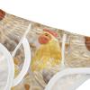 ALAZA Gold Rooster Leaves Boys' Briefs Soft Underwear Available in Sizes 3t view 4