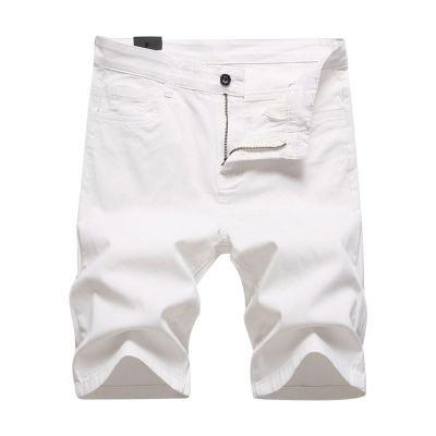 NineFit Basics Shorts for Men Classic Multi-Pocket Outdoor Work Shorts Comfort Stretch Chino Short Ripstop Stretch Cargo Short Hiking Cargo Shorts Casual Drop Crotch Trouser Casual Capri Pants (White, XS)