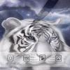 ALAZA Moon Star Tiger Boys' Briefs Soft Underwear Available in Sizes 6y Multicolor view 3