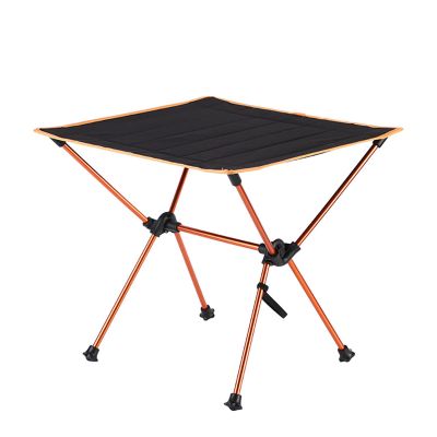 JBNCRYGD Portable Camping Table, Ultra-Lightweight Foldable Small Compact Picnic Table for Outdoor, BBQ, Picnic, Cooking, Hiking, Fishingicnic,B