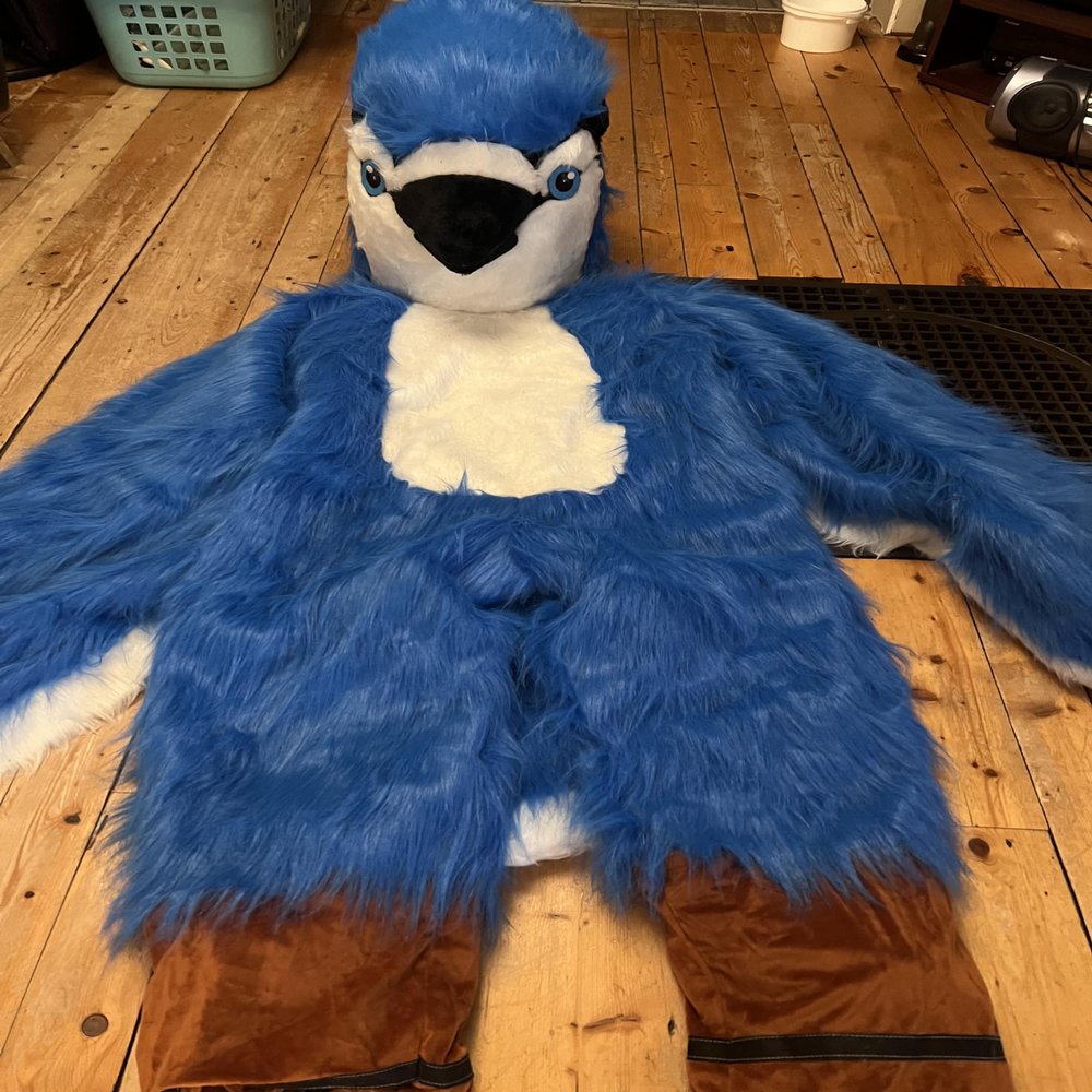 Blue Cardinal Jay Birds Animals Mascot Costumes Mascotte Mascota Party Suit