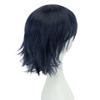 IMISSU Unisex Short Cosplay Hair Party Wig with Bangs Halloween Costume Wigs (Dark Blue) view 4
