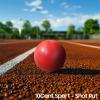 AKABIKE 10Cent Shot Put Color Series Case Iron for Outdoor Track & Field (6lb/2.76kg to 16lb/7.2kg) view 4