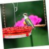FONDOTIN Garden Hanging Bird Feeder Flower Design Easy to Refill Clean for Backyard Patio Tree Decoration Bird Food Holder view 2