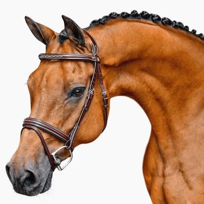 Bello-Equine Premium Havana Fancy Stitch Bridle with Removable Flash Anatomical Padded Crown, Classic Hunter Style - Size Full
