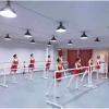 EliteBloom Double Ballet Barre, Movable Lifting Double Ballet Bar Portable for Home, Height Adjustable Ballet Sticks for Kids Adults (1 M) view 2