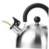 WHAMVOX Portable Stainless Steel Kettle Extension Spout Lightweight Outdoor Teapot Pourer for Camping for Boiling Water and Hand-dripped Coffee view 2