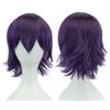 IMISSU 12 Inches Unisex Short Cosplay Hair Party BOB Wig with Bangs Halloween Costume Wigs (Dark Purple) view 1