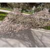 Camo Net, Military Camouflage Netting, 2x2m 2x4m 3x5m 4x5m 4x6m 5x8m Sunscreen Camouflage Shade Net, for Hunting/Camping/car Cover,drygrass-3x3m/9.8 * 9.8ft view 4