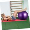 balacoo 2pcs Anti-Burst Thickened Ball for Fitness Balance and Coordination Random Blue Purple Home and Gym Workouts view 3