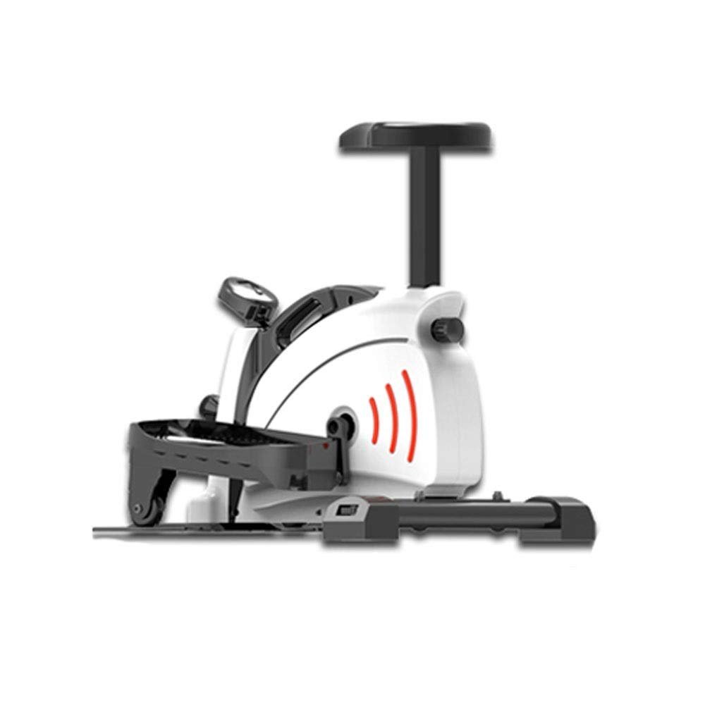 Mini Elliptical Cross Trainer,Resistance Exercise Stepper,LCD Home Gym Workout Equipment,Unisex Beautiful Scenery