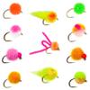 24 Glo Bug, Egg Dry Fly Fishing Lure Assortment | Trout, Steelhead, Salmon Fly Fishing Flies | Size #8, #10, #12, #14 view 1