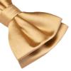 Branduce Champagne Gold Bow Tie for Men Pre-tied Adjustable Silk Blend Bowties for Wedding Party (BB05-10) view 3
