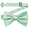 Branduce Mint Bow Tie for Men Pre-tied Adjustable Silk Blend Bowties for Wedding Party (BB05-25) view 1