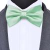 Branduce Mint Bow Tie for Men Pre-tied Adjustable Silk Blend Bowties for Wedding Party (BB05-25) view 2