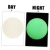 WHAMVOX 2pcs Training Ice Hockey Pucks for Daily Practice Outdoor Equipment for Teams and Beginners view 3