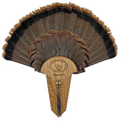 Carved Turkey Tail Mounting Kit w/ Beard and Spur Display Options - Customizeable for All Species! (Oak)
