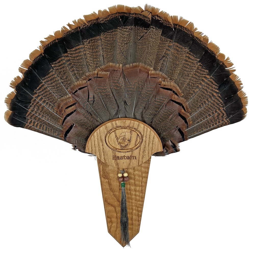 Carved Turkey Tail Mounting Kit w/ Beard and Spur Display Options - Customizeable for All Species! (Oak)