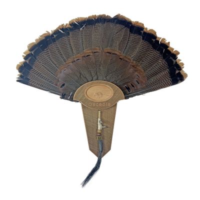 Carved Turkey Tail Mounting Kit w/ Beard and Spur Display Options - Customizeable for All Species! (Barnwood)