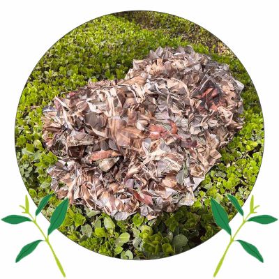 Camouflage Net 2x3m 3x4m 4x5m 4x6m 5x5m, Outdoor Shade Net, Camo Netting for Military Decoration/Patio Sunblock, Hunting Camouflage Netting,drygrass-9x12m/29.5 * 39.4ft