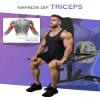 HVO Seated Dip Machine Tricep: Dip Machine Exercise for Biceps Black Plate Loaded Home Gym Training Equipment view 3